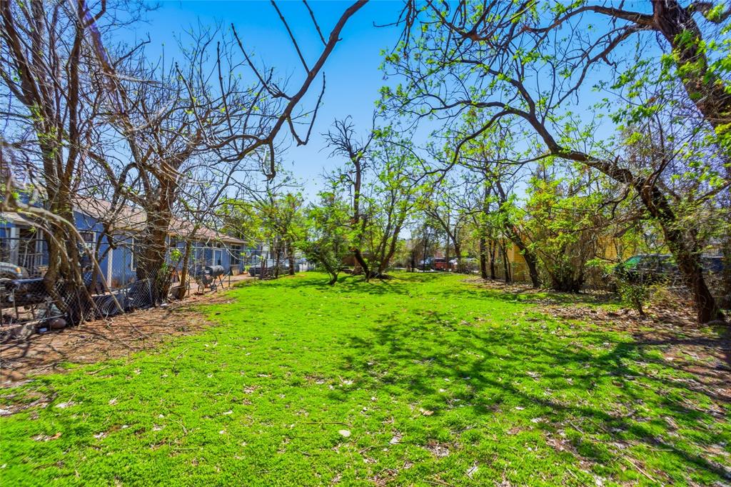 1835 Akron Street Dallas, TX 75212 - Photo 2 of 14 a view of backyard with tree