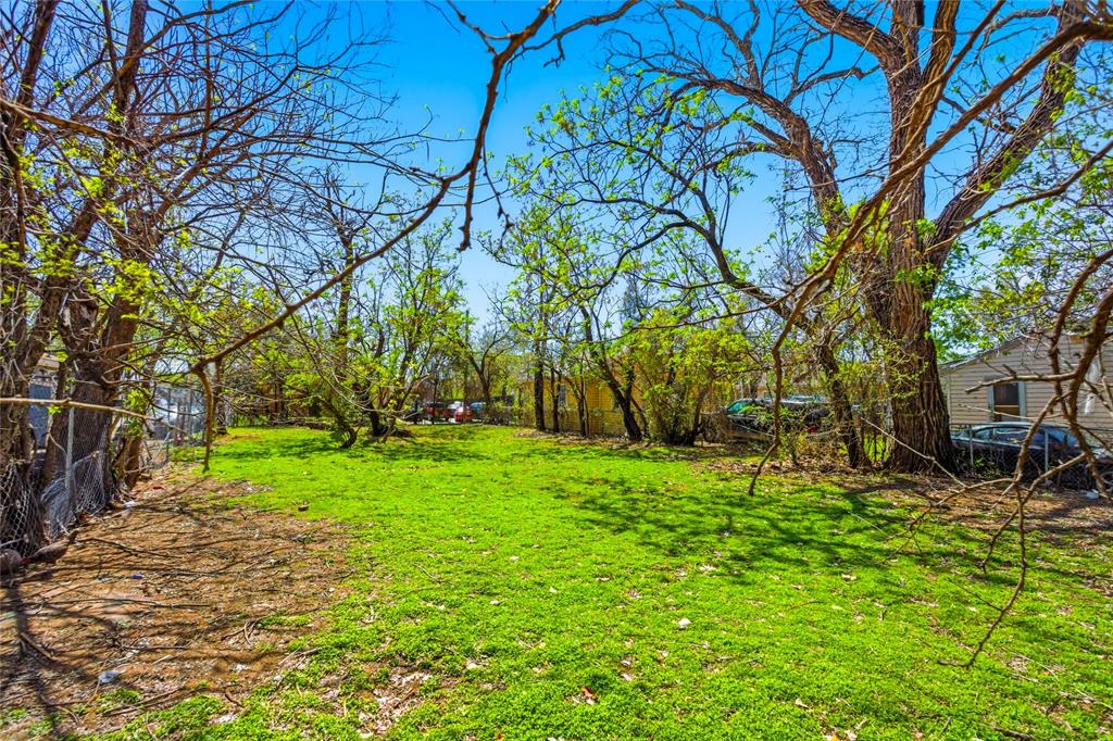 1835 Akron Street Dallas, TX 75212 - Photo 6 of 14 a backyard of a house with plants and large tree