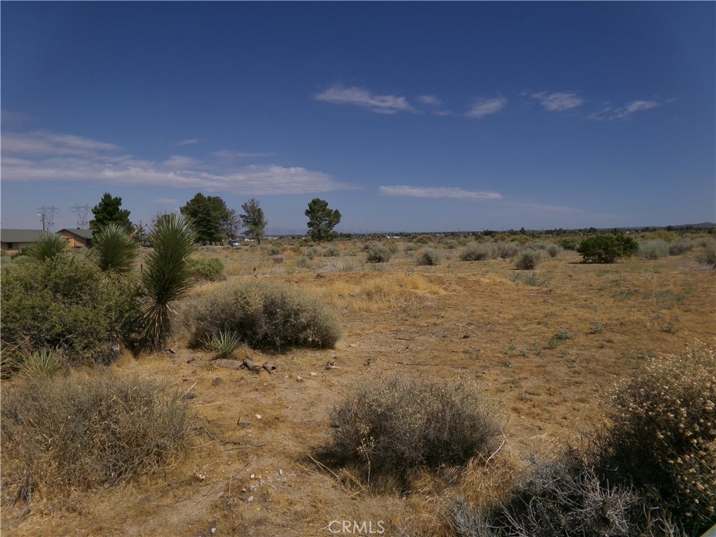 0 Rancho Road Phelan, CA 92371 - Photo 9 of 11 Gallery Image 9