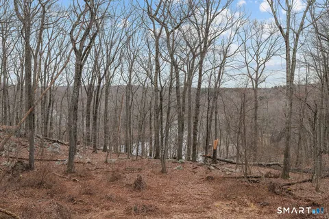 a view of a backyard of the house