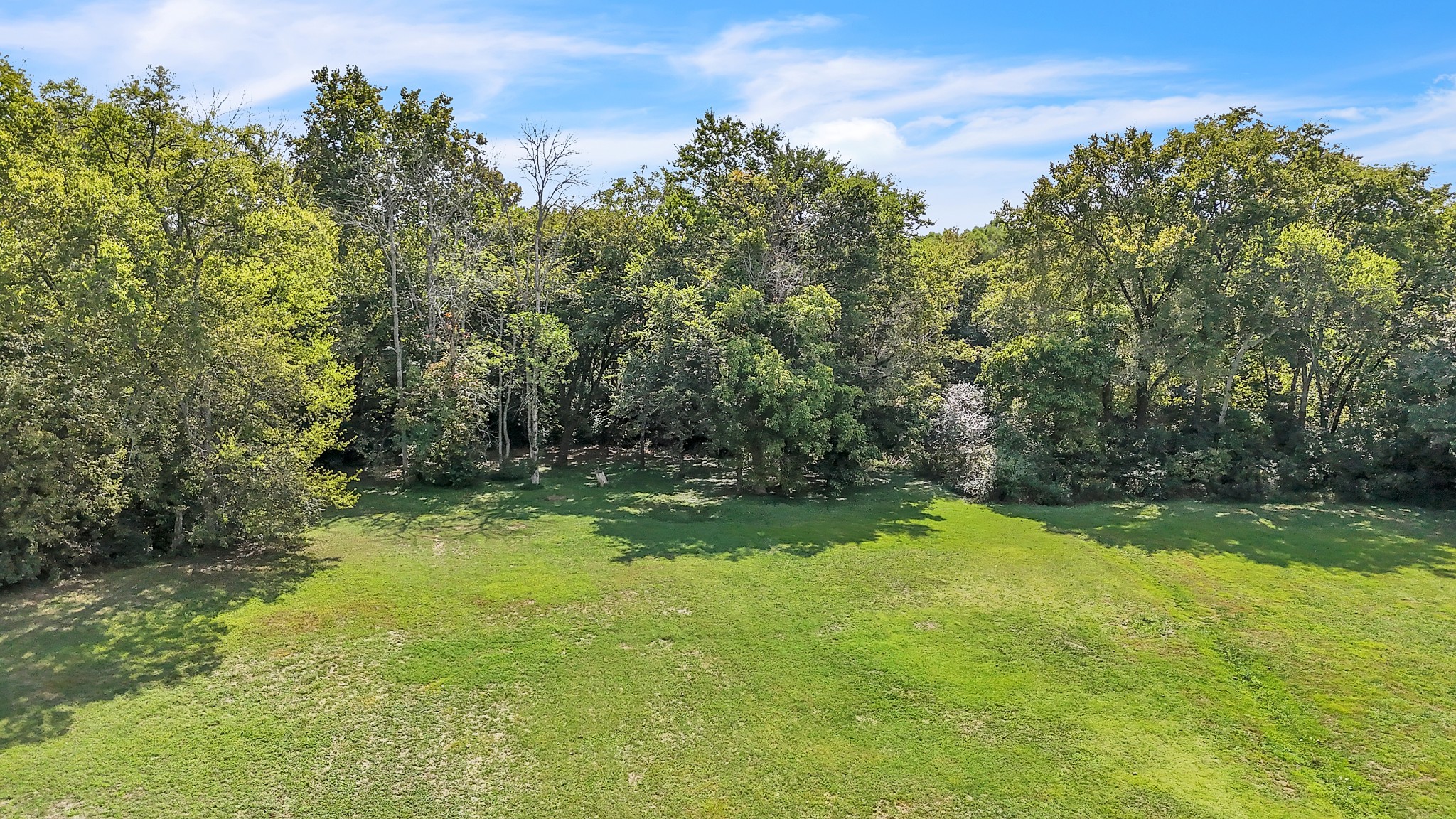 3848 Kedron Road Spring Hill, TN 37174 - Photo 30 of 33 a view of a yard with large trees