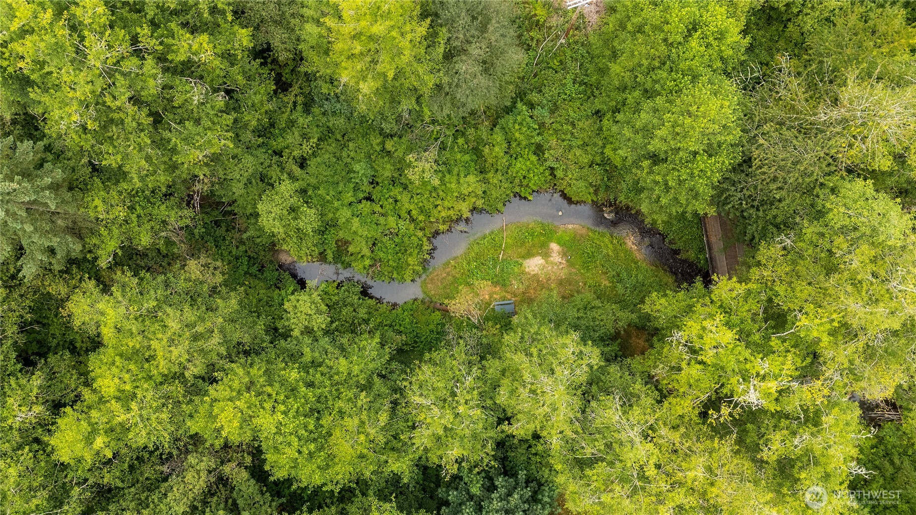 0 Shanklin Road Onalaska, WA 98570 - Photo 5 of 12 a view of a garden
