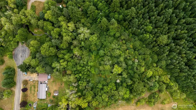 a view of a city with lush green forest
