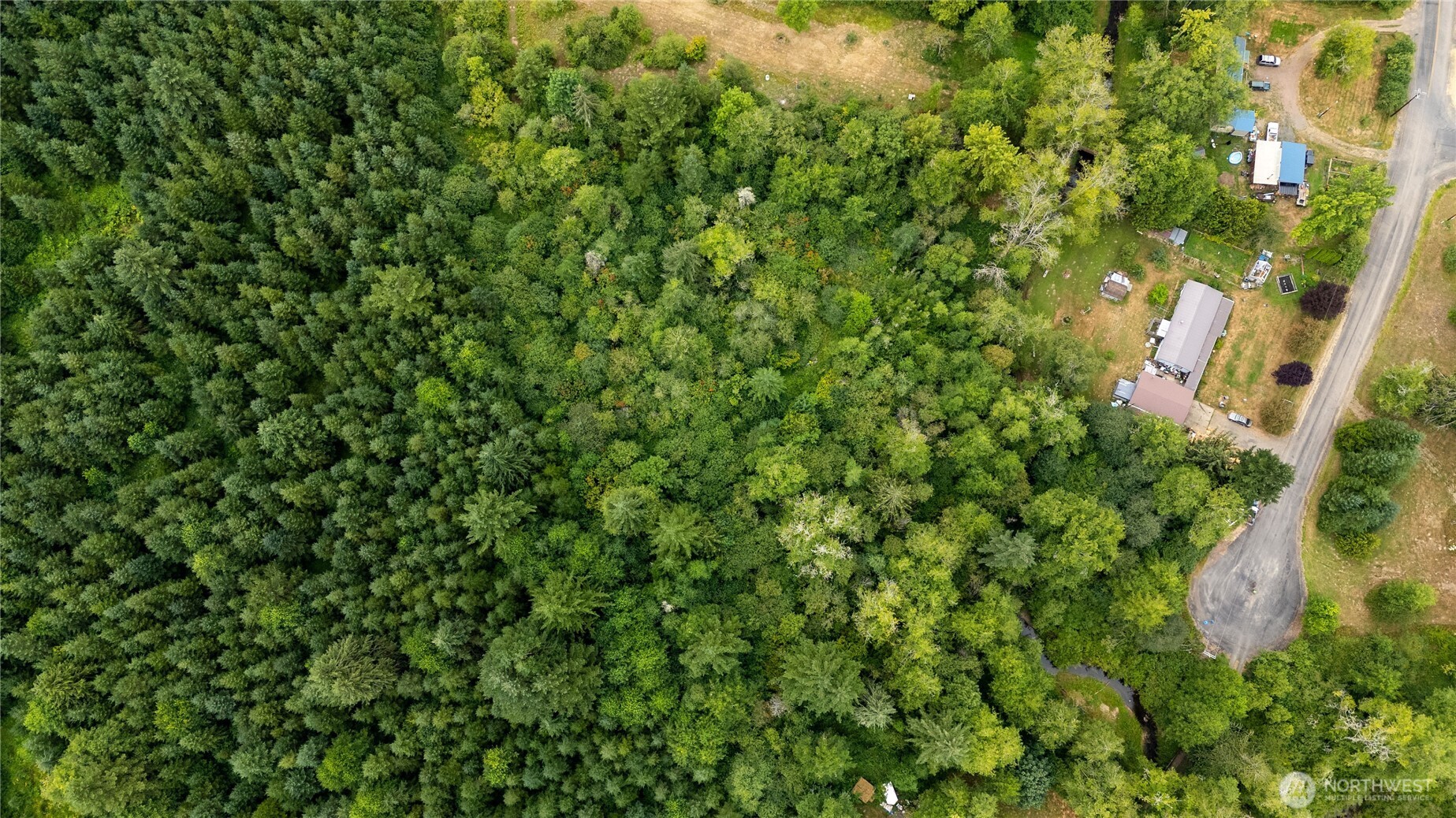 0 Shanklin Road Onalaska, WA 98570 - Photo 8 of 12 a view of a house with a lush green forest