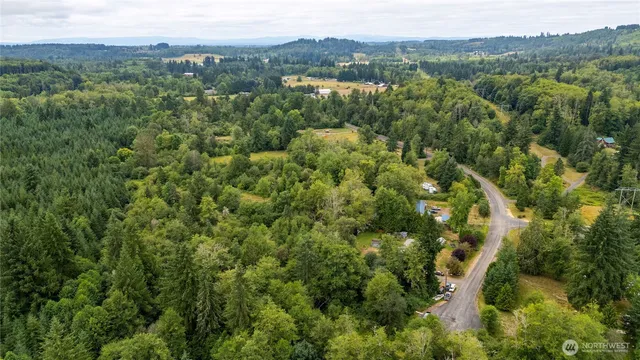 a view of a forest with a lush green forest