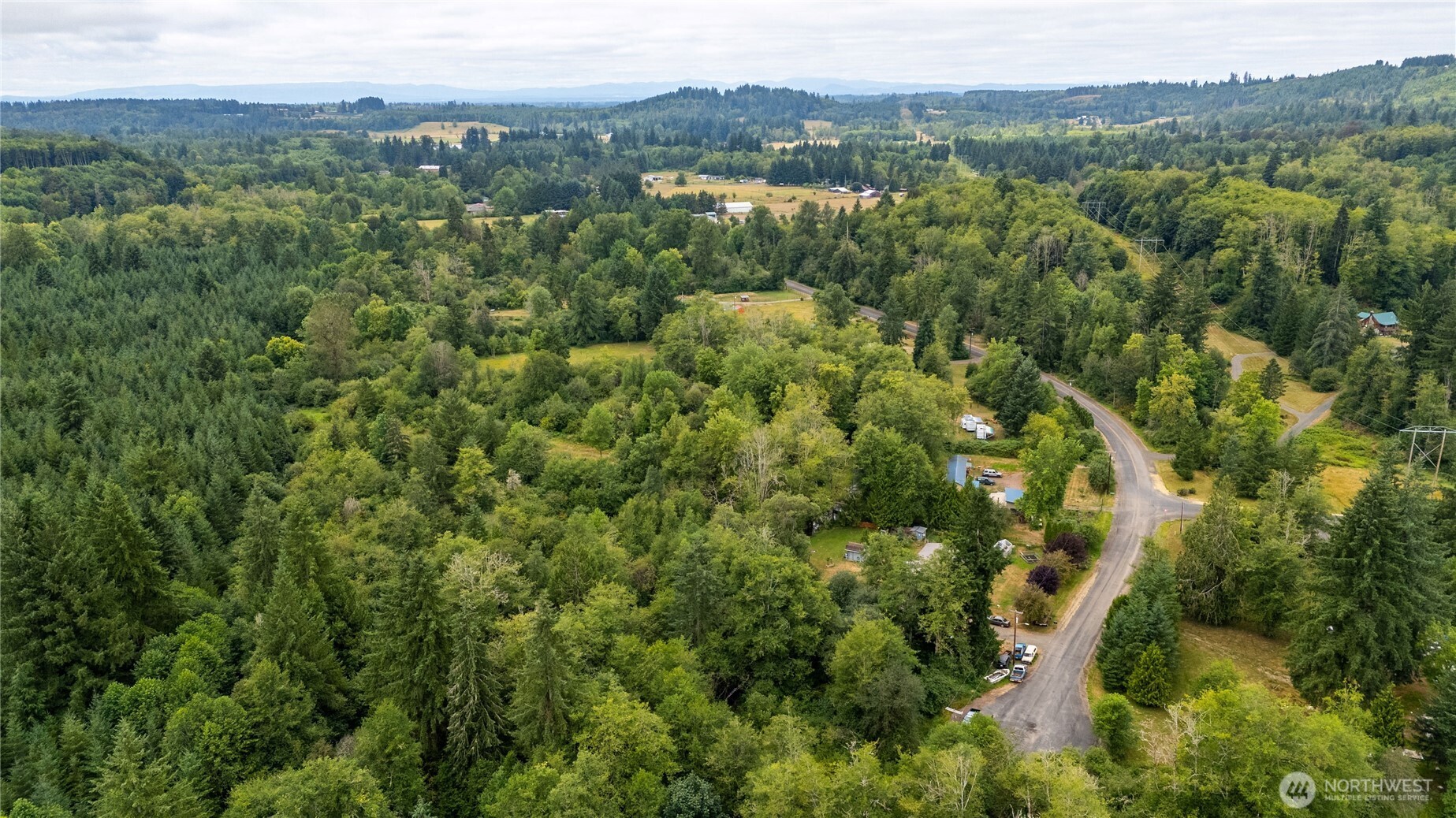 0 Shanklin Road Onalaska, WA 98570 - Photo 10 of 12 a view of a forest with a lush green forest