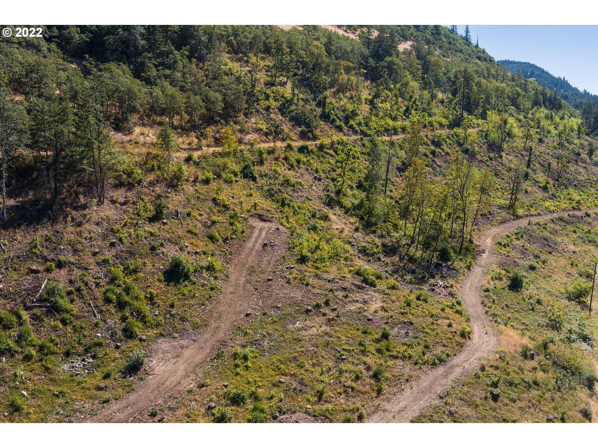 4397 Dee Highway Hood River, OR 97031 - Photo 11 of 15 a view of a yard with a dry yard
