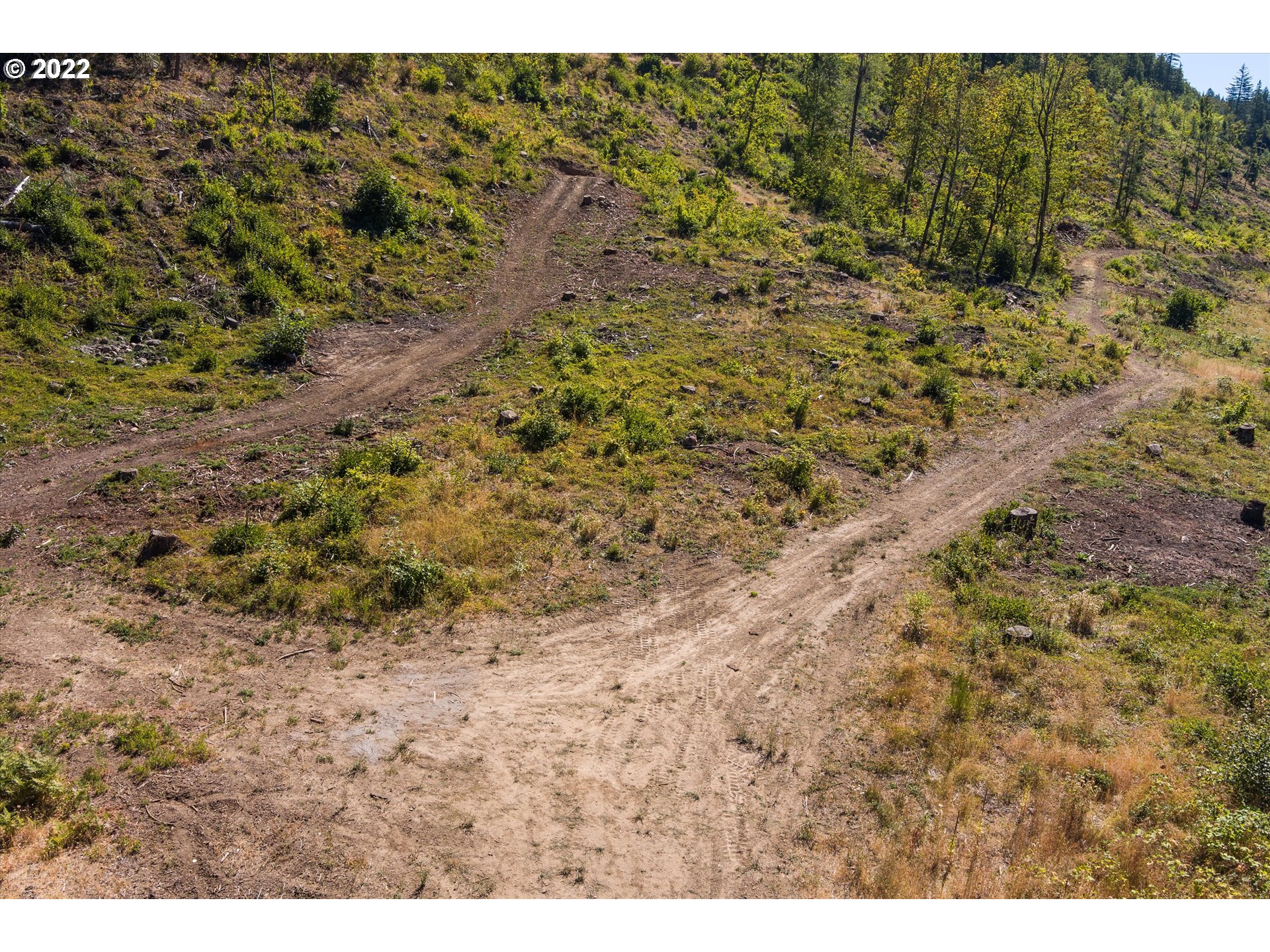 4397 Dee Highway Hood River, OR 97031 - Photo 12 of 15 a view of a dry yard with large trees