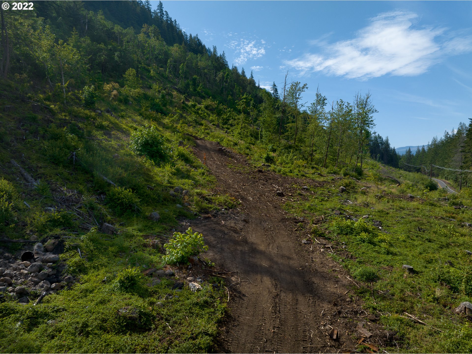 4397 Dee Highway Hood River, OR 97031 - Photo 3 of 15 a view of a lush green forest with lots of trees