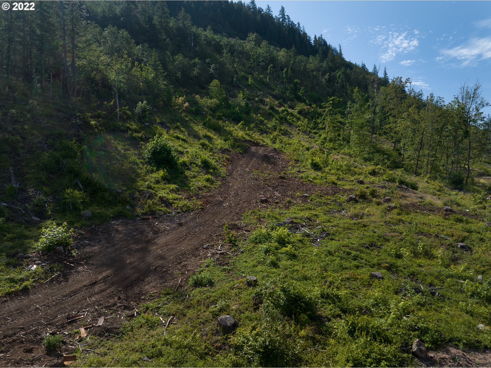 4397 Dee Highway Hood River, OR 97031 - Photo 4 of 15 a view of a forest with a street