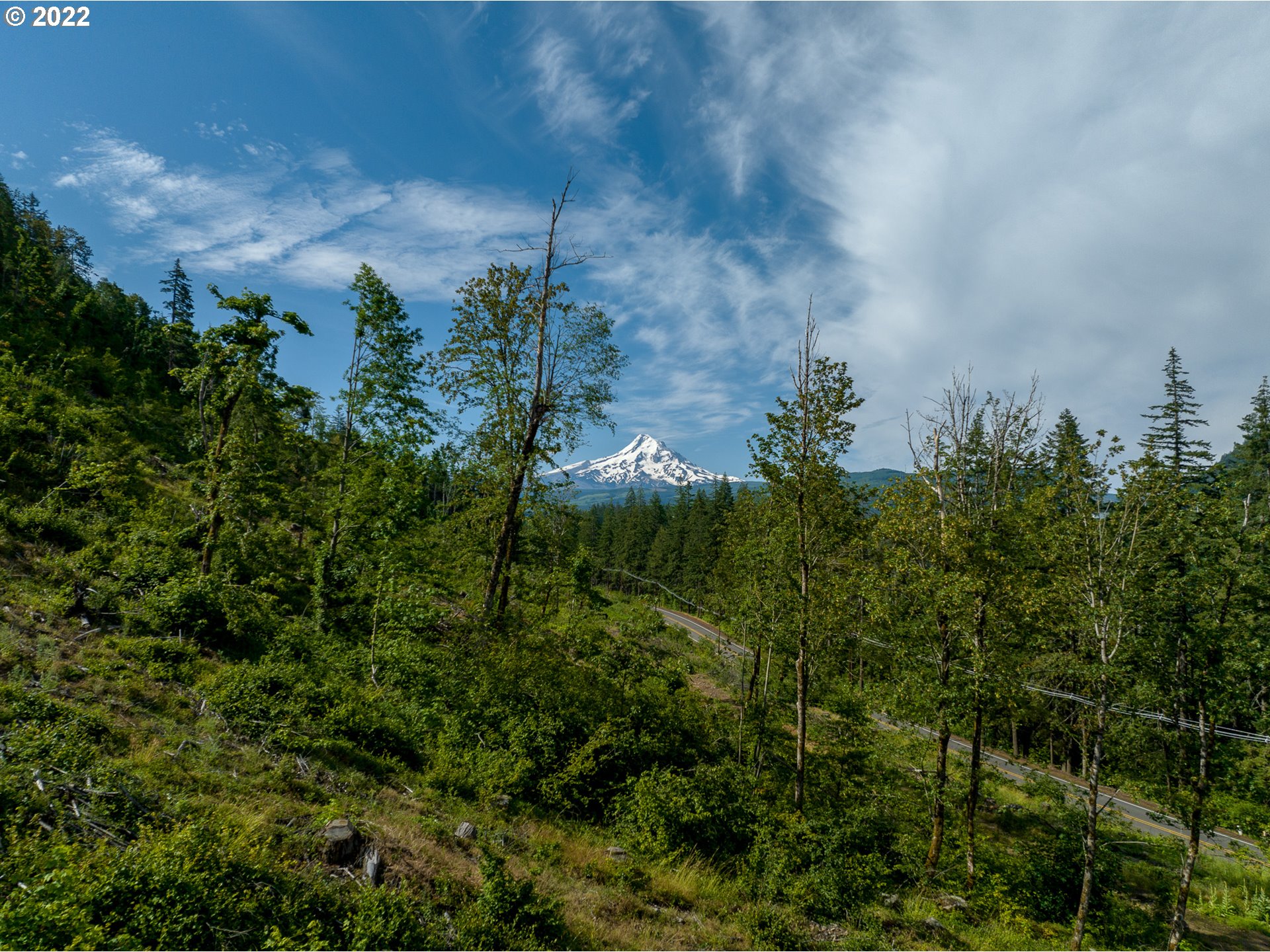 4397 Dee Highway Hood River, OR 97031 - Photo 5 of 15 a view of a garden