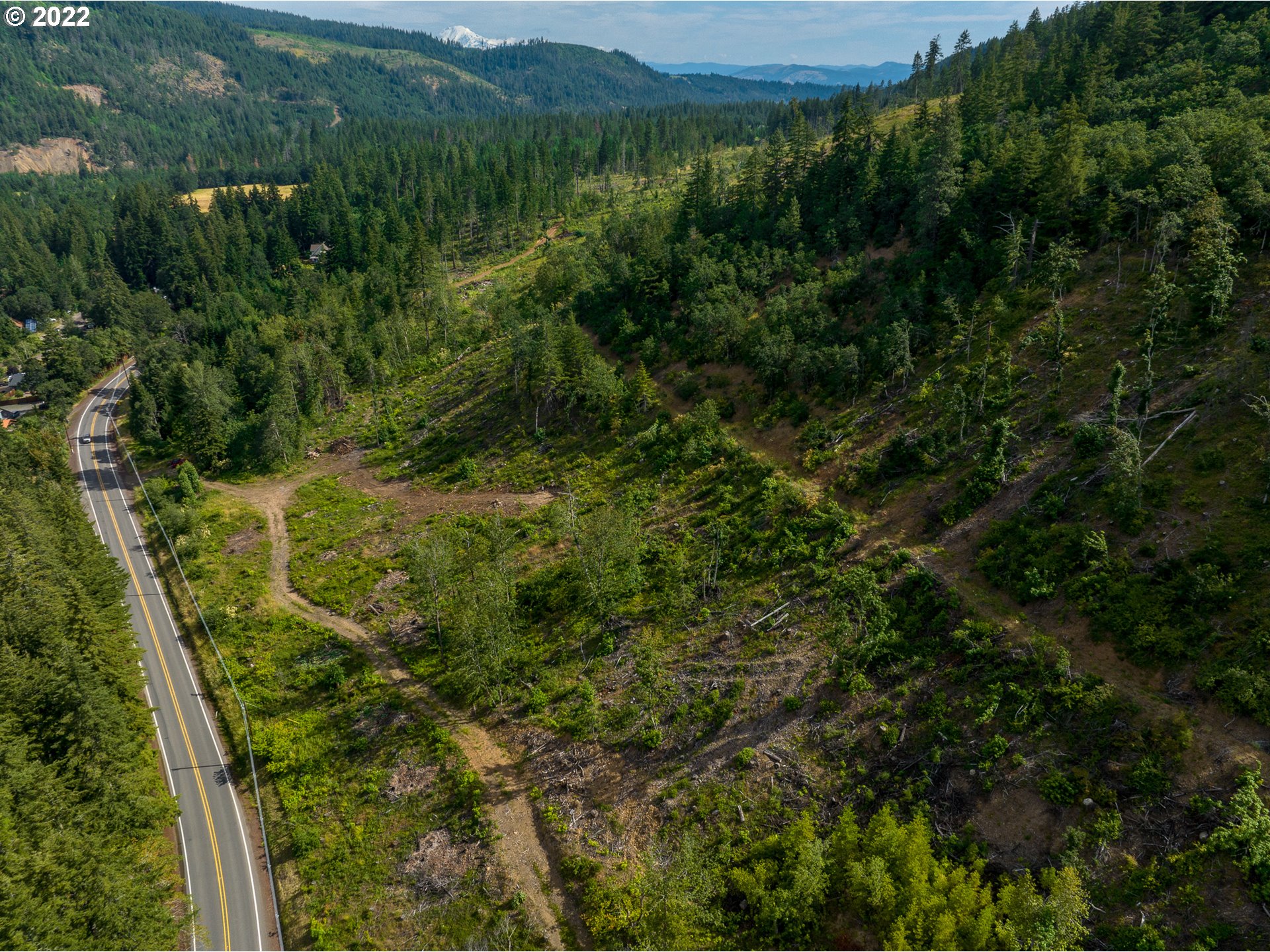 4397 Dee Highway Hood River, OR 97031 - Photo 9 of 15 a view of a lush green forest with lots of trees
