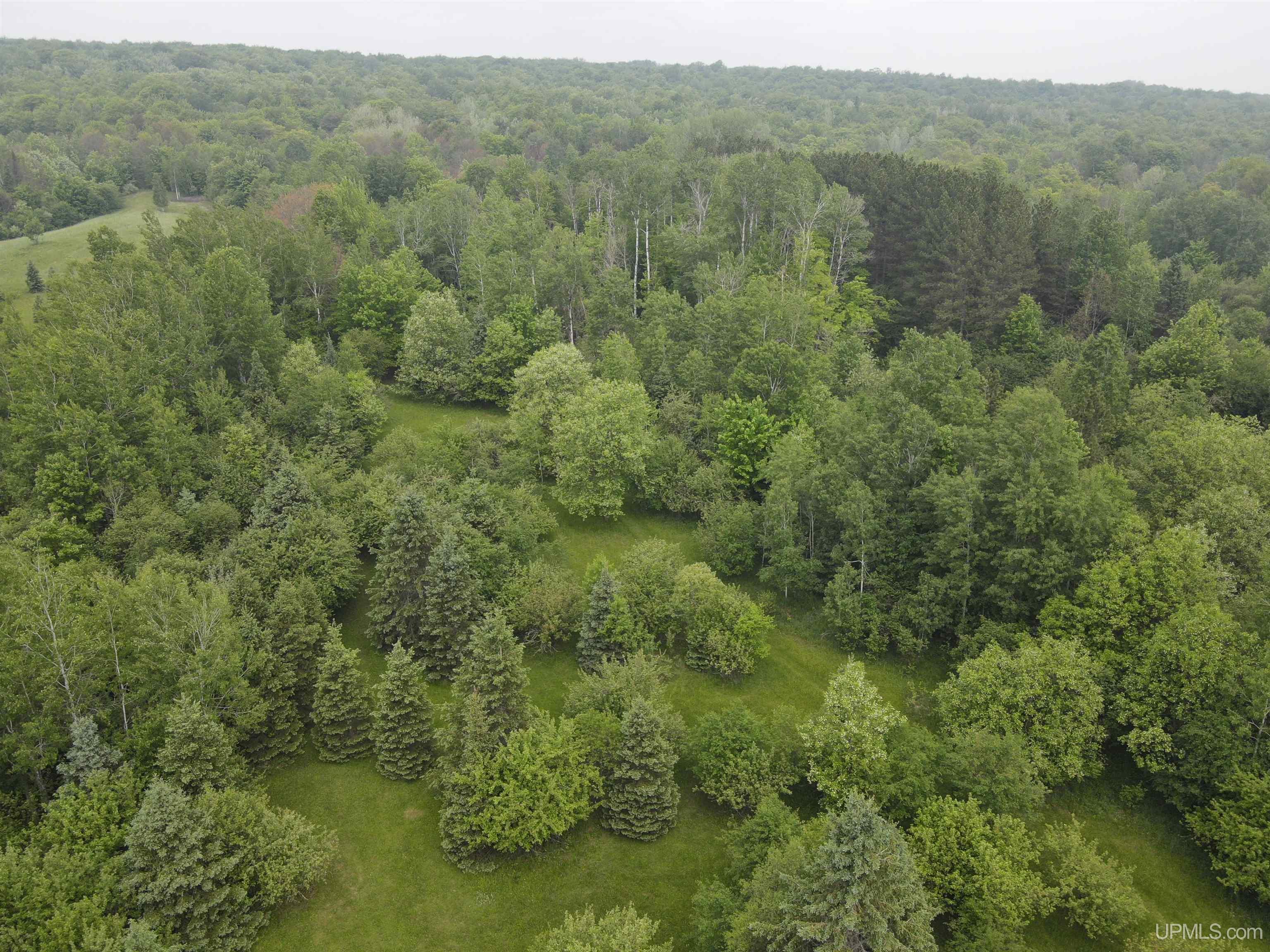 40011 Lower Worham Road Chassell, MI 49916 - Photo 12 of 34 Gallery Image 12