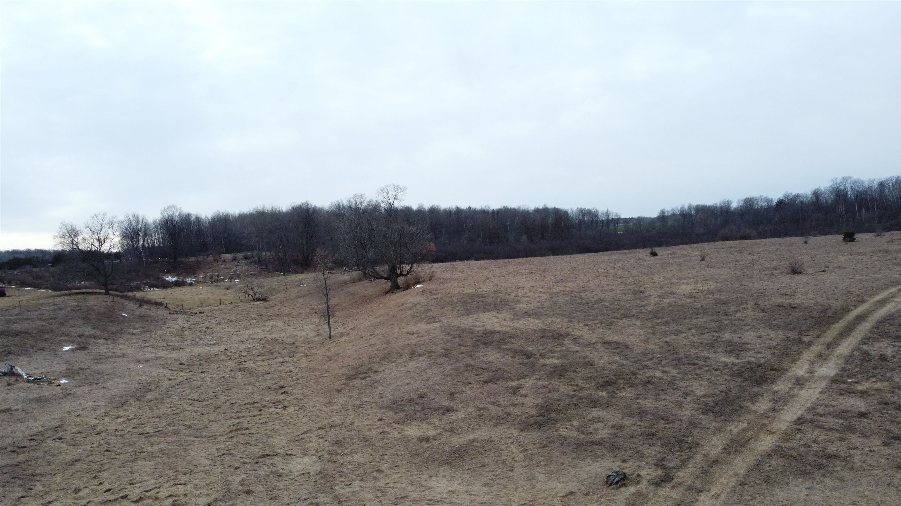 X McCauley Road West Branch, MI 48661 - Photo 18 of 27