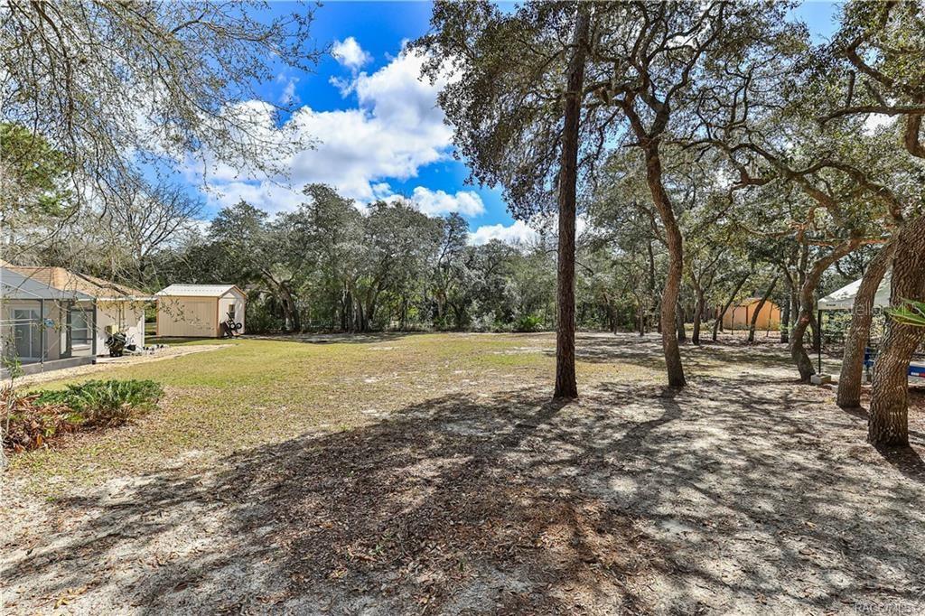 5420 North Rosedale Circle Beverly Hills, FL 34465 - Photo 47 of 49 a view of road with large trees