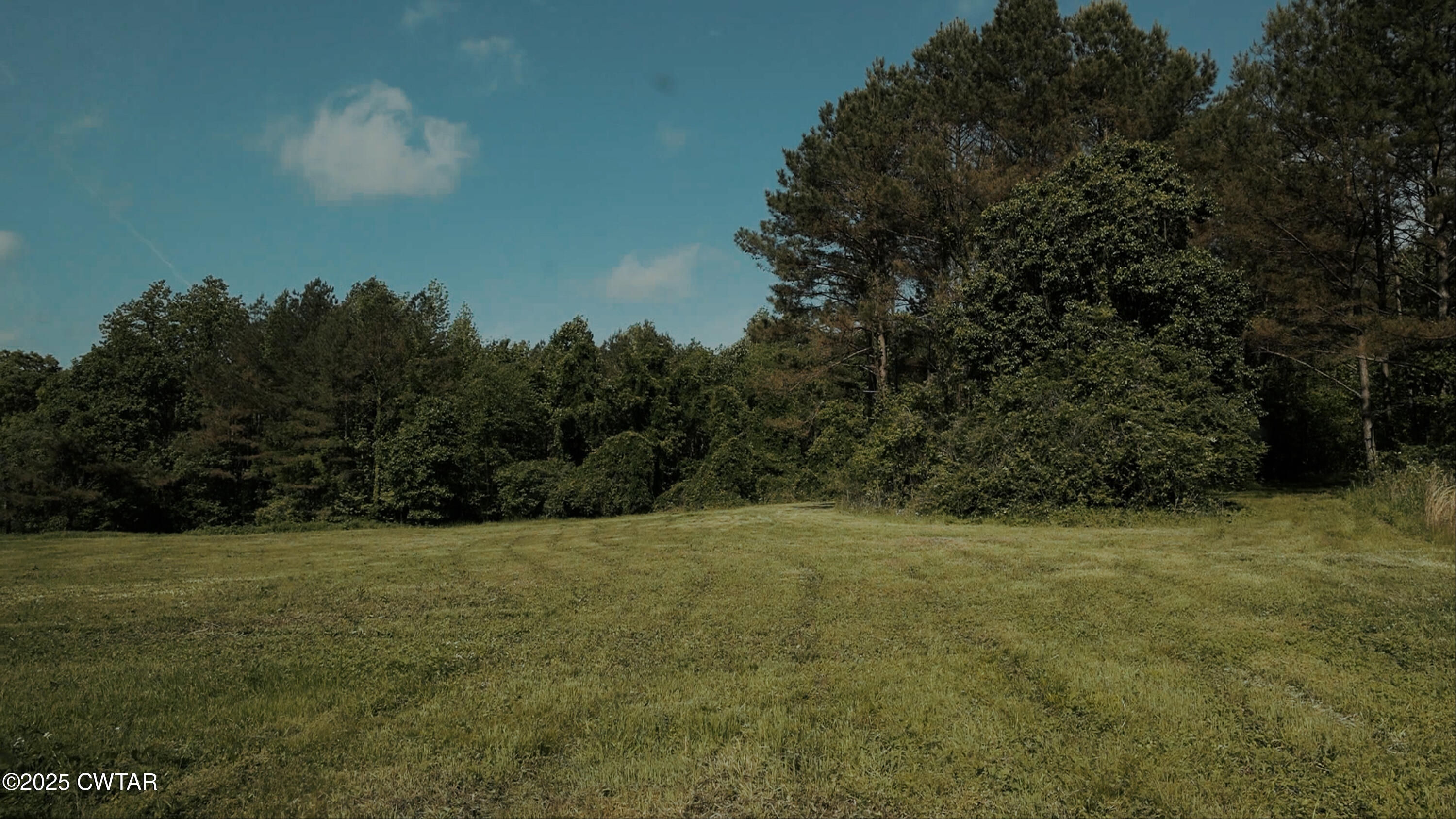 0 Riverside Drive Jackson, TN 38301 - Photo 12 of 14 a view of an outdoor space and a yard