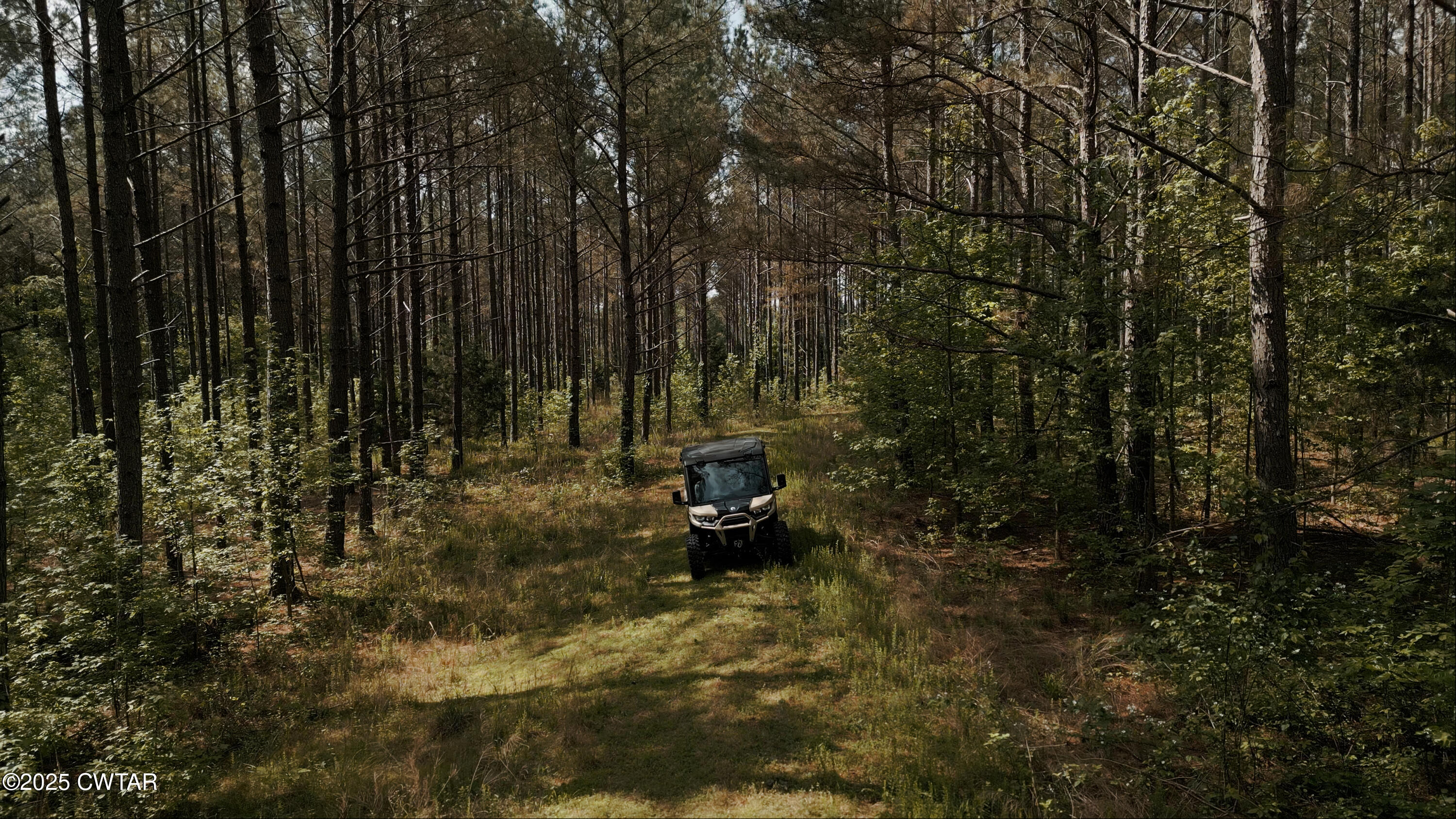 0 Riverside Drive Jackson, TN 38301 - Photo 3 of 14 a view of outdoor space with lots of trees