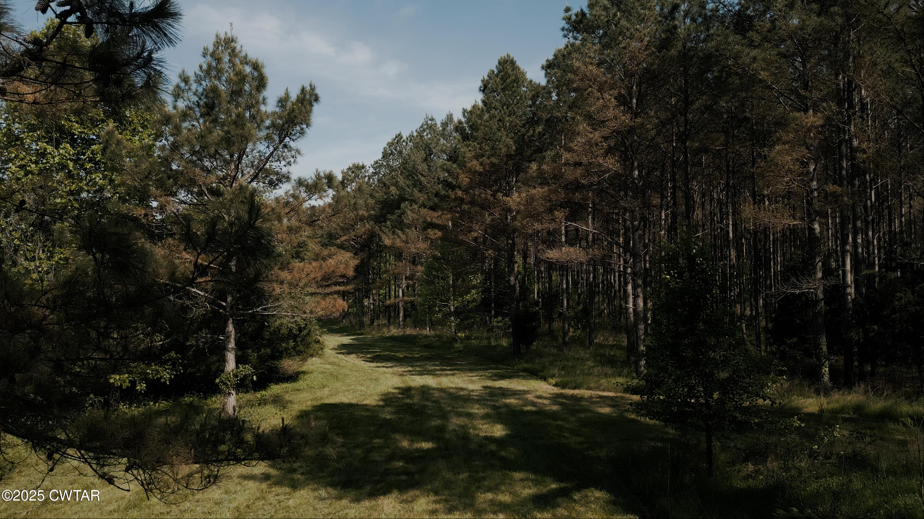 0 Riverside Drive Jackson, TN 38301 - Photo 4 of 14 a view of outdoor space and yard