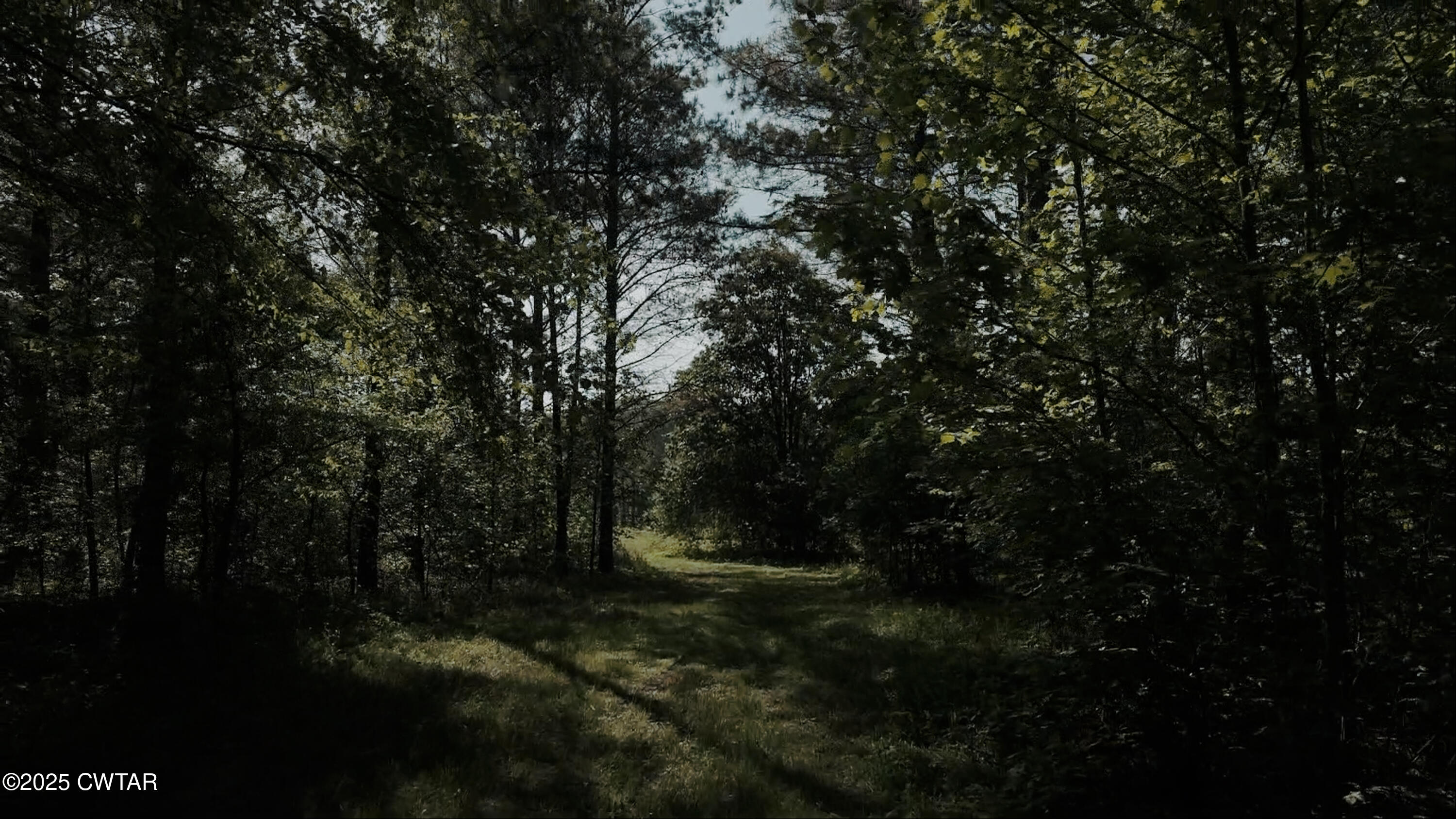 0 Riverside Drive Jackson, TN 38301 - Photo 7 of 14 a view of outdoor space and yard