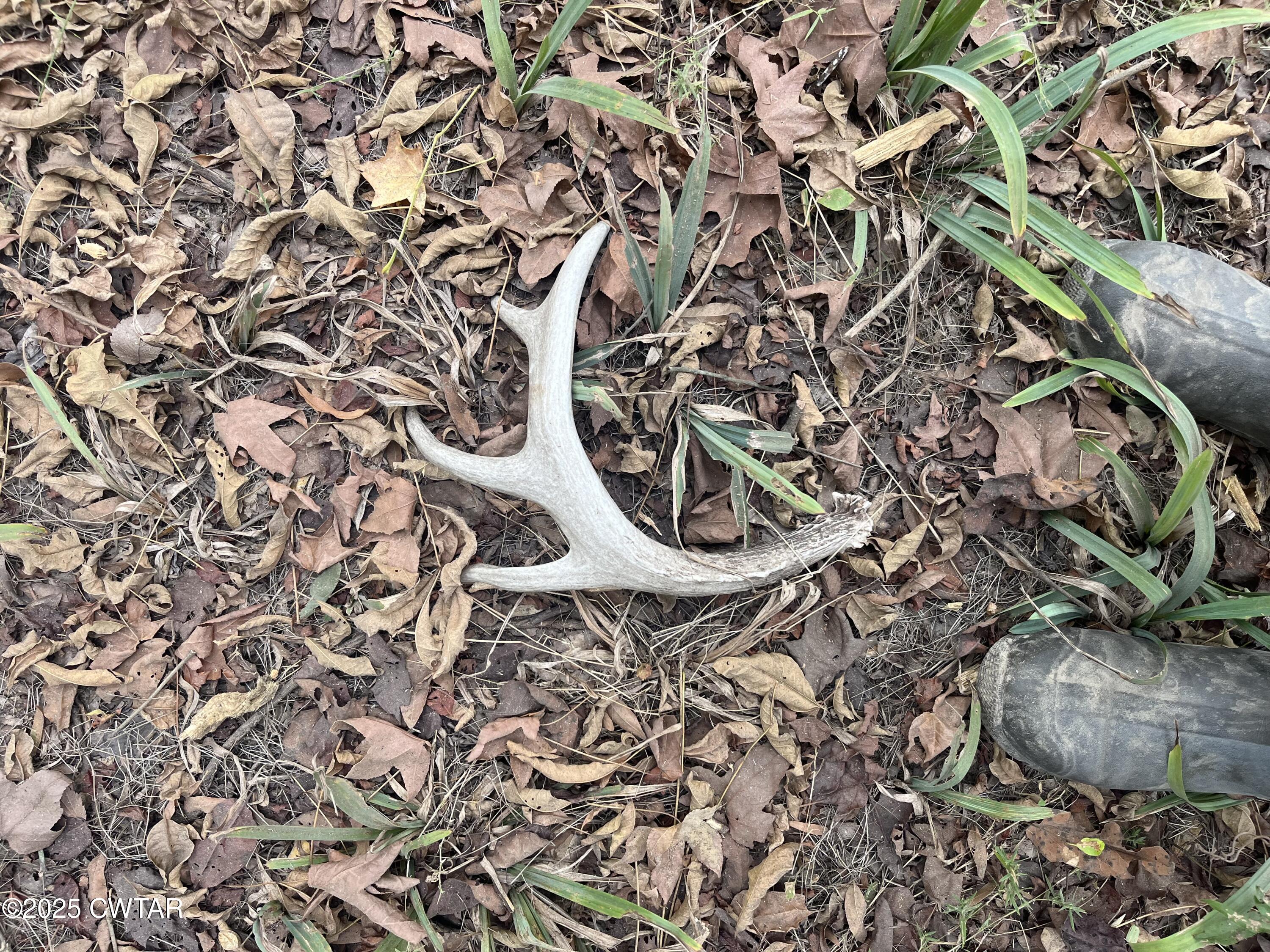 0 Riverside Drive Jackson, TN 38301 - Photo 9 of 14