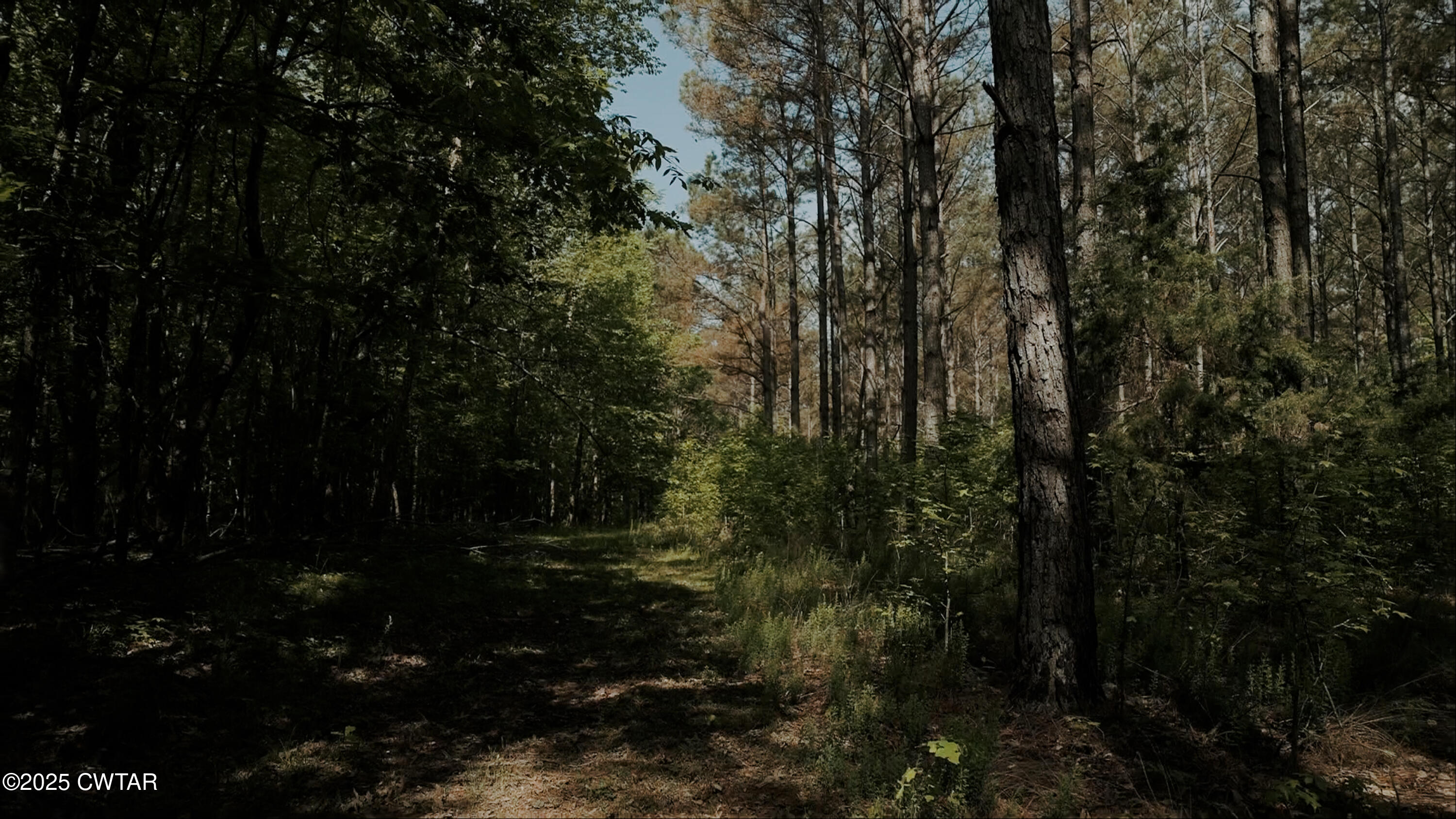 0 Riverside Drive Jackson, TN 38301 - Photo 10 of 14 a view of outdoor space and yard