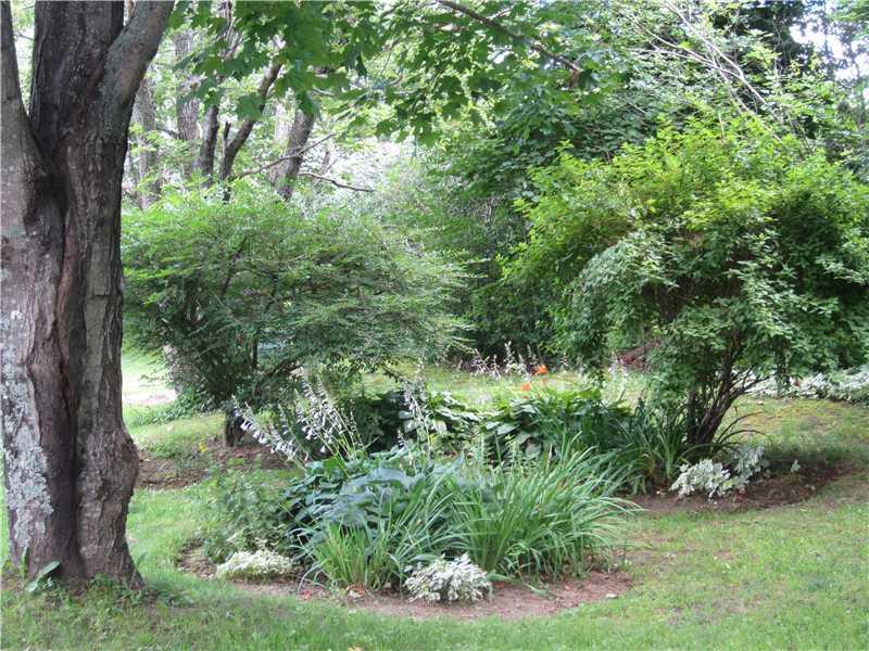 238 Morgan Bay Road Surry, ME 04684 - Photo 21 of 35 Yard/Garden.