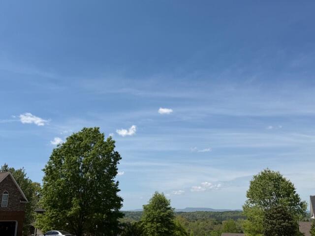 111 Will Ridge Drive Ringgold, GA 30736 - Photo 49 of 50 Views are beautiful!