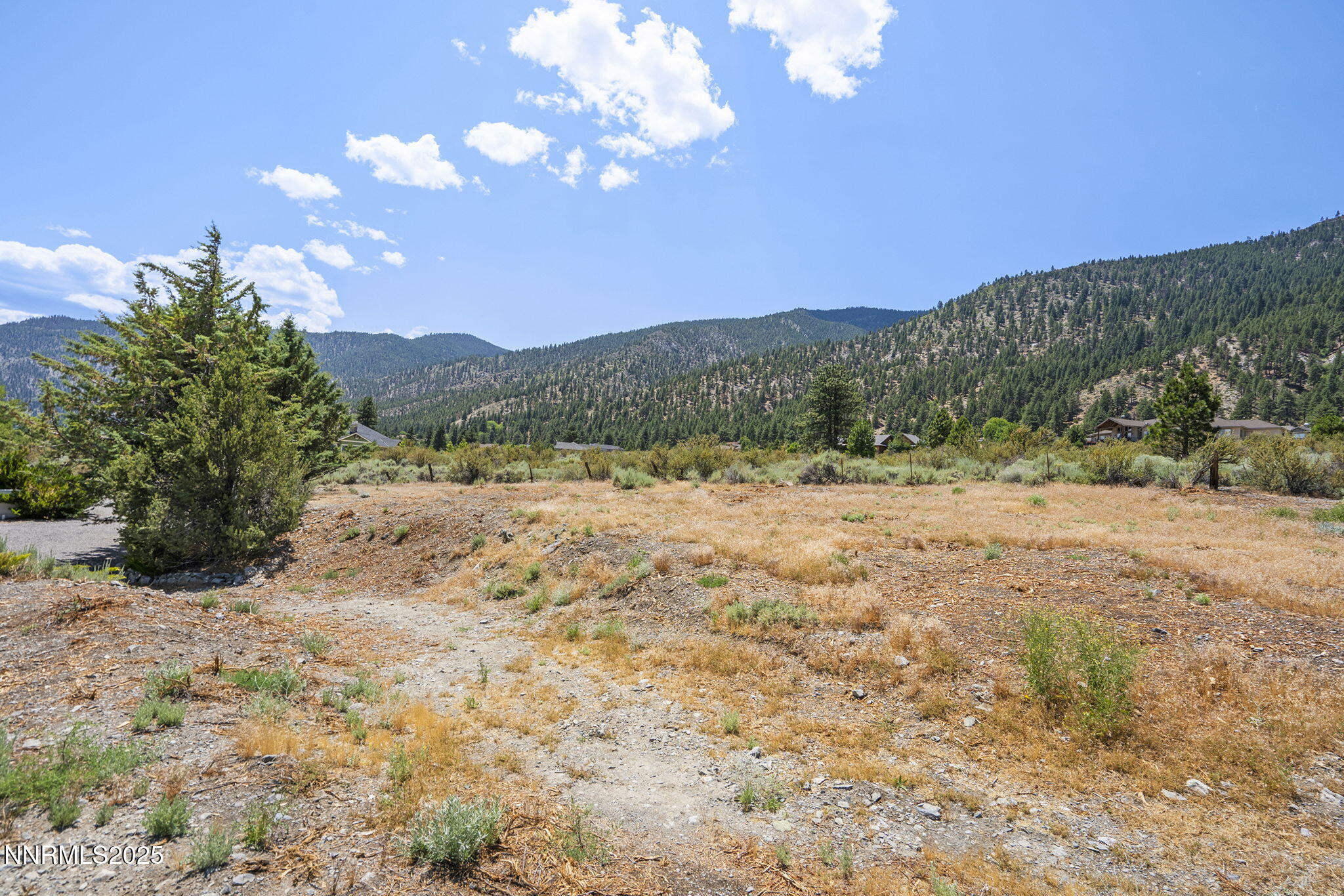 2548 Jacks Valley Road Genoa, NV 89411 - Photo 38 of 51 a view of a yard with a mountain