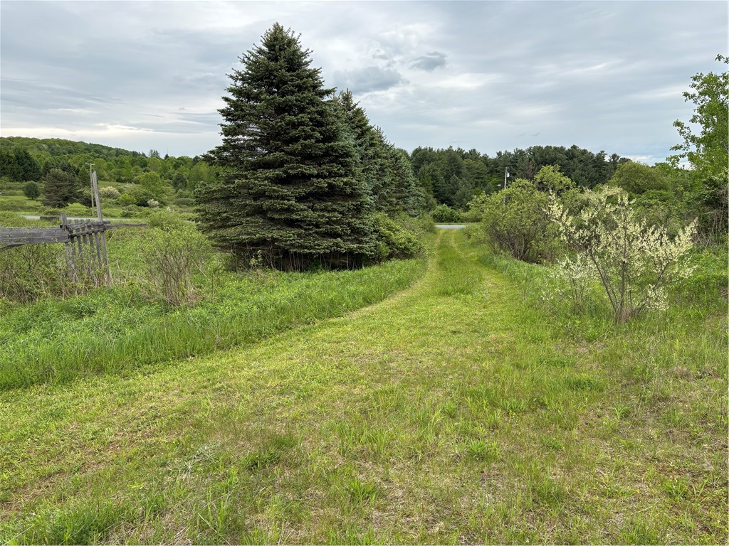 36 County Road Guilford, NY 13780 - Photo 8 of 38