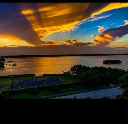 a view of a potted plants next to a yard