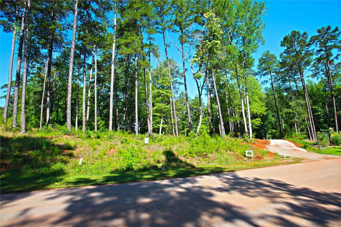 1359 Hbr Rdg Road Seneca, SC 29672 - Photo 19 of 39 Mature trees line this substantial undeveloped lot, offering natural beauty and privacy for your future residence.