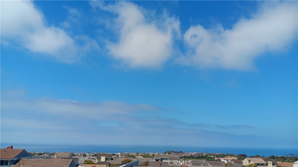 33571 Binnacle Drive Dana Point, CA 92629 - Photo 48 of 48 a view of a yard