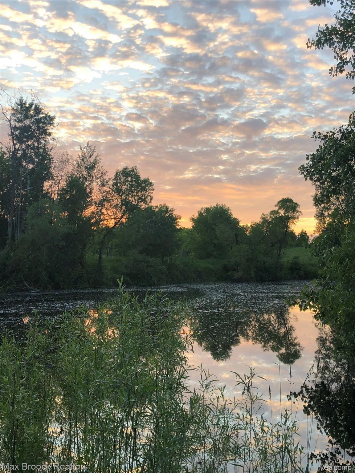 5797 Jones Road North Branch, MI 48461 - Photo 15 of 66 D532B1C9-E6F6-4734-8F39-967C2D28285F.jpeg