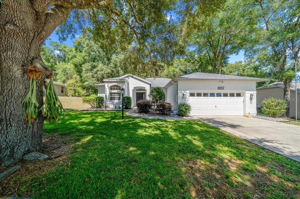 8859 Southwest 196th Avenue Road Dunnellon, FL 34432 - Photo 1 of 53