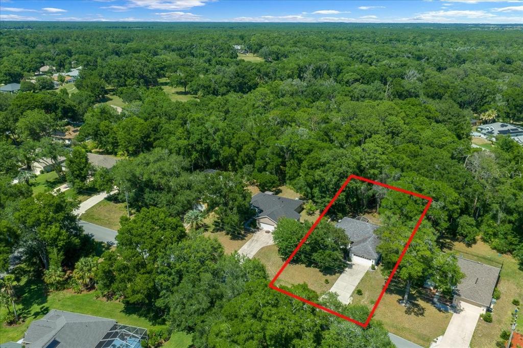 8859 Southwest 196th Avenue Road Dunnellon, FL 34432 - Photo 43 of 53