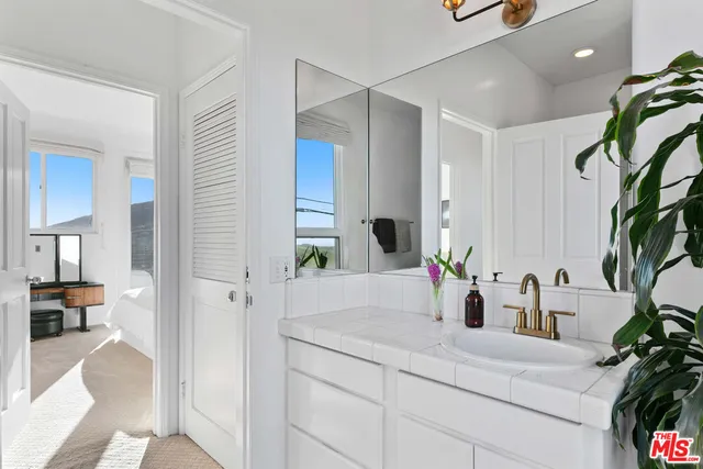 a view of a tree with a flower garden