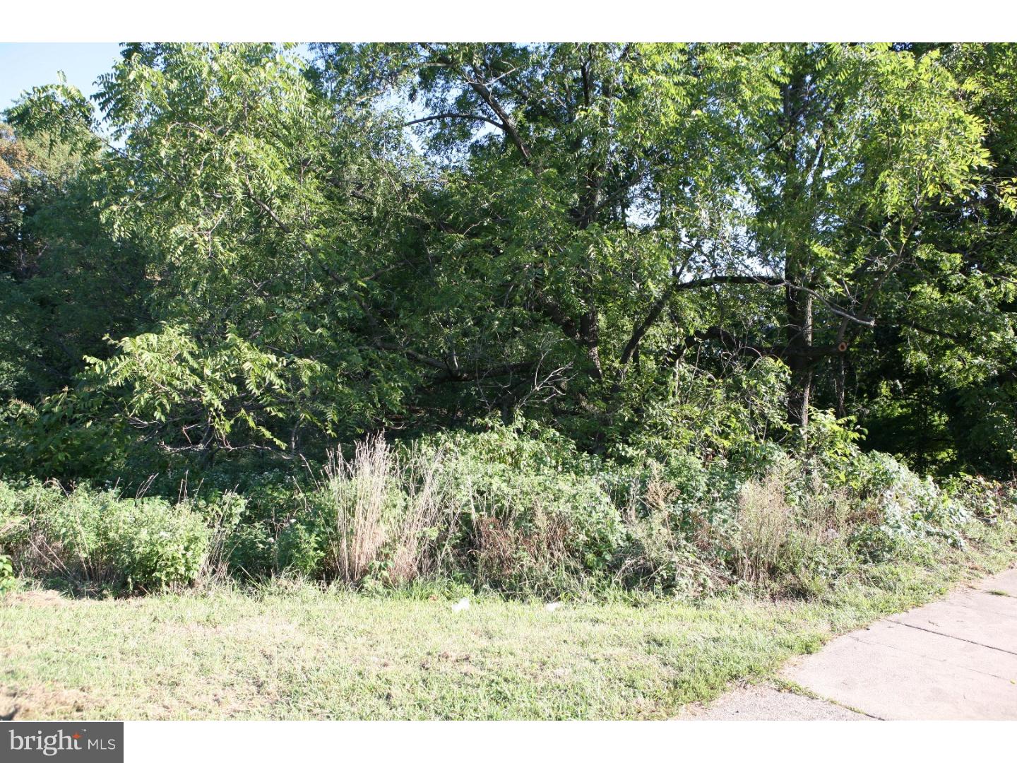 12512 Torrey Road Philadelphia, PA 19154 - Photo 2 of 22 View from Front Door
