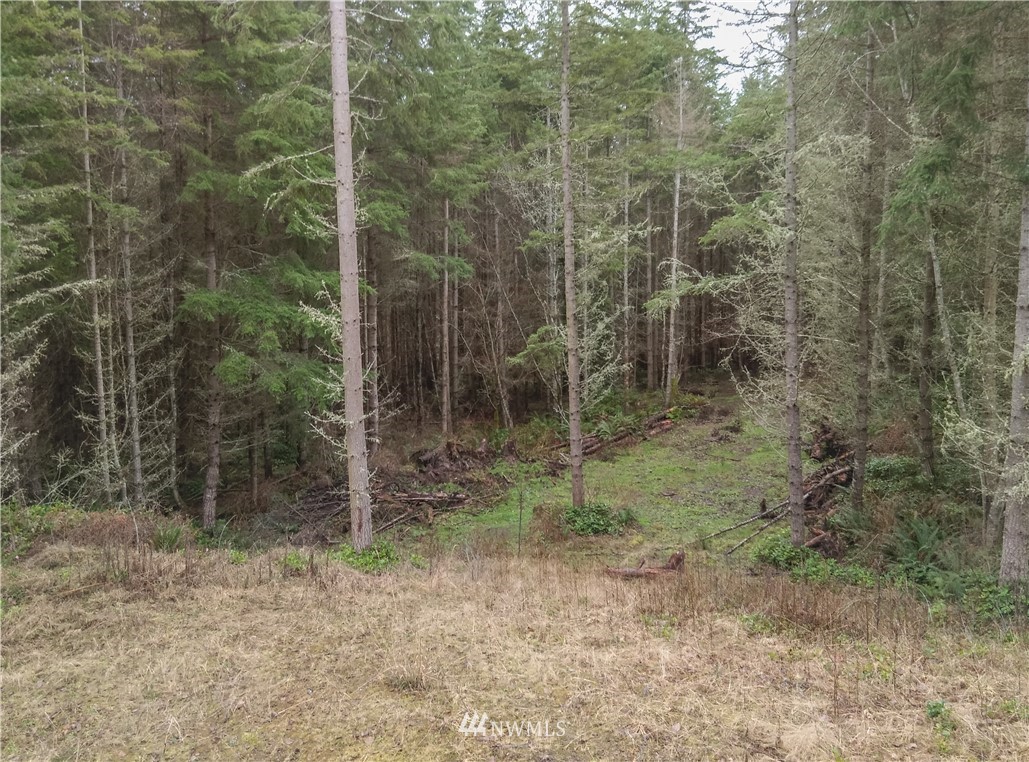 -tbd Discovery Ridge Road Port Townsend, WA 98368 - Photo 1 of 8 Gallery Image 1