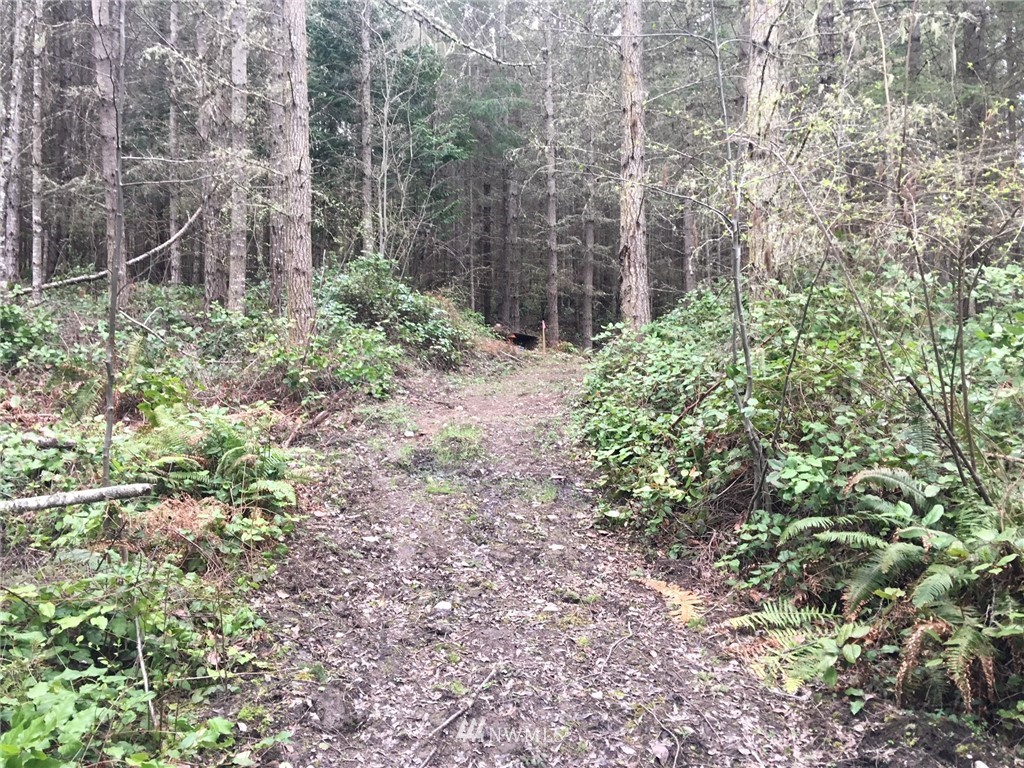 -tbd Discovery Ridge Road Port Townsend, WA 98368 - Photo 4 of 8 Gallery Image 4
