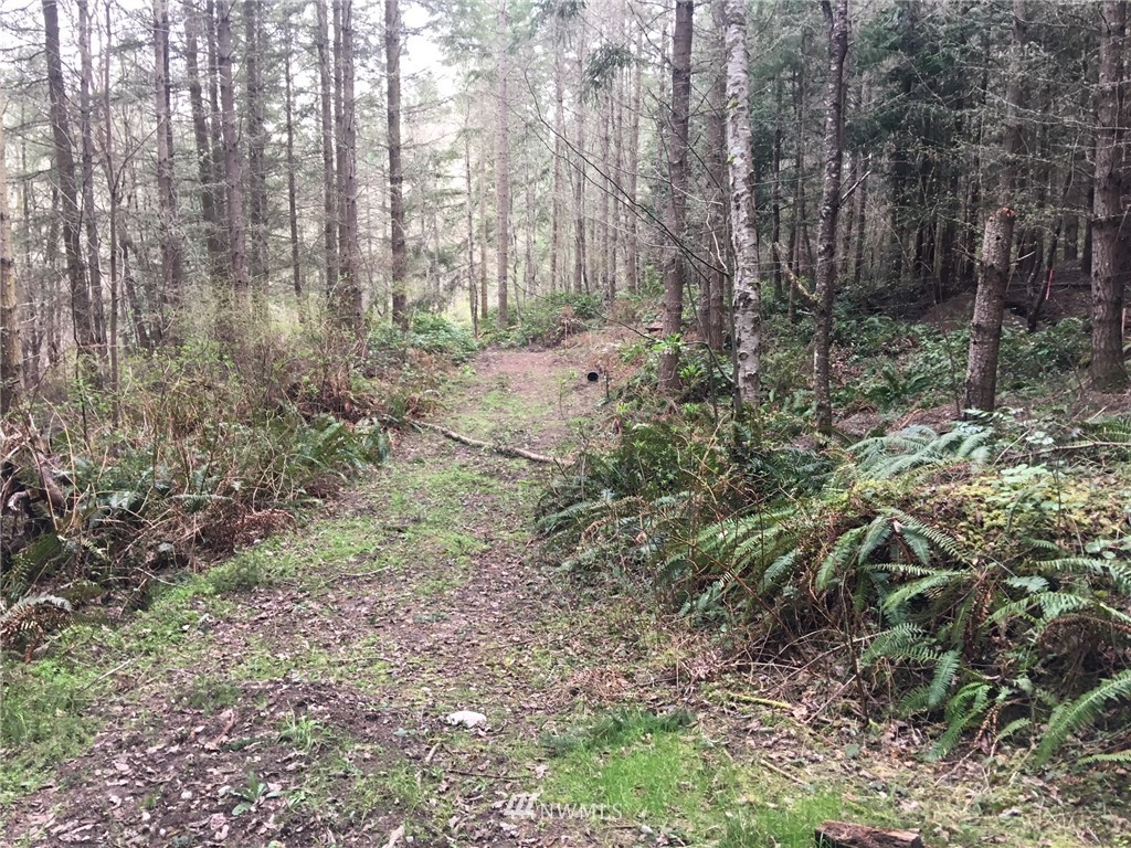 -tbd Discovery Ridge Road Port Townsend, WA 98368 - Photo 5 of 8 Gallery Image 5