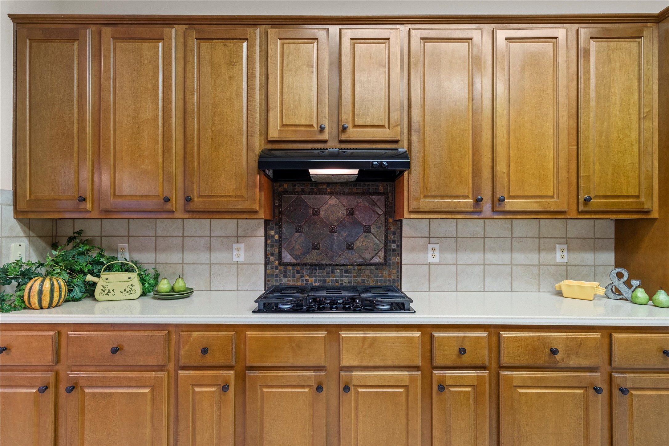 106 Swallowtail Circle Georgetown, TX 78633 - Photo 19 of 40