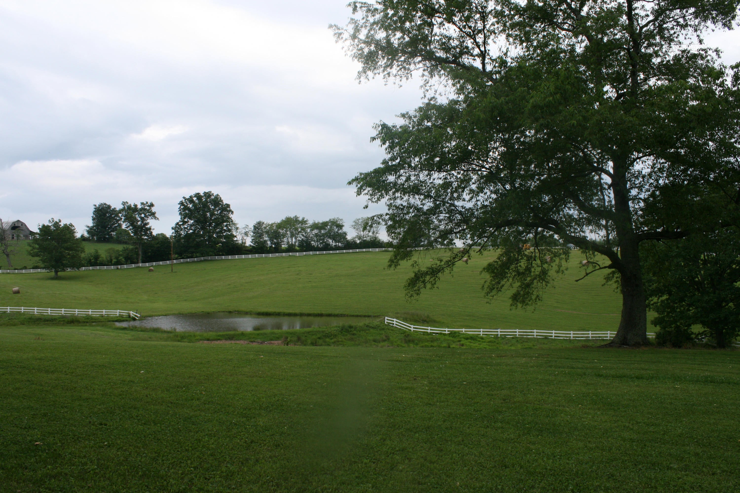Hickory Ridge Road Lewisburg, WV 24901 - Photo 4 of 9 Gallery Image 4