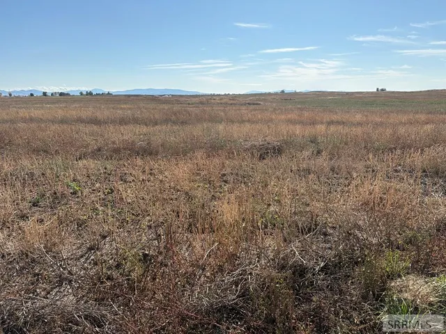 $2,500,000 | 1500-w 300 1500 W, Pingree, ID 83262