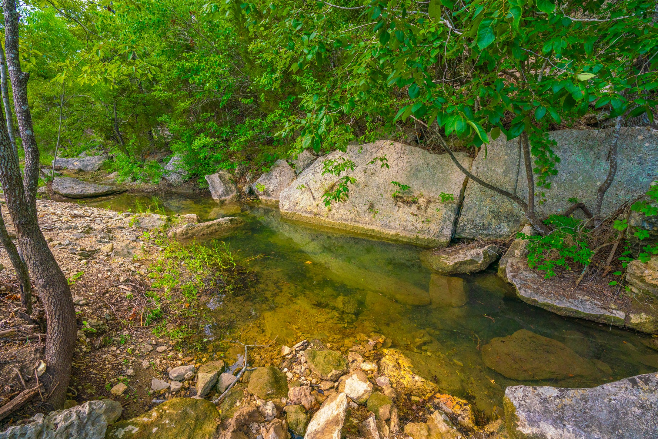0 Spring Creek Ranch Wimberley, TX 78676 - Photo 14 of 29 a view of swimming pool with a yard