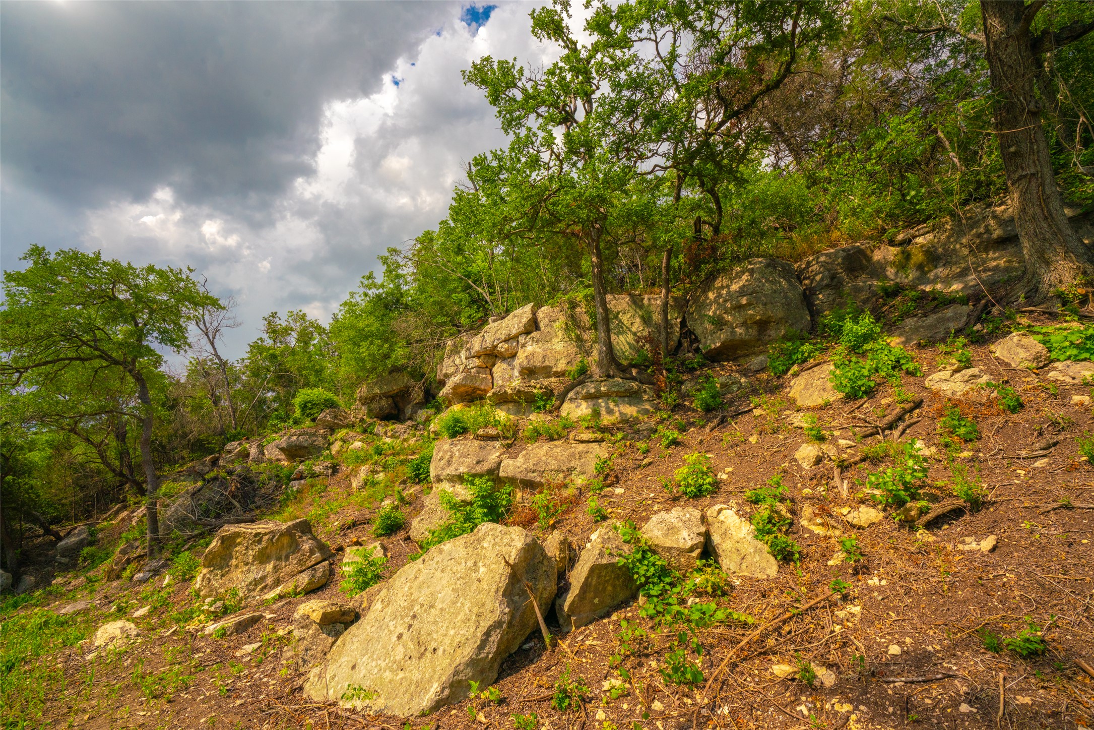 0 Spring Creek Ranch Wimberley, TX 78676 - Photo 19 of 29 a view of a yard