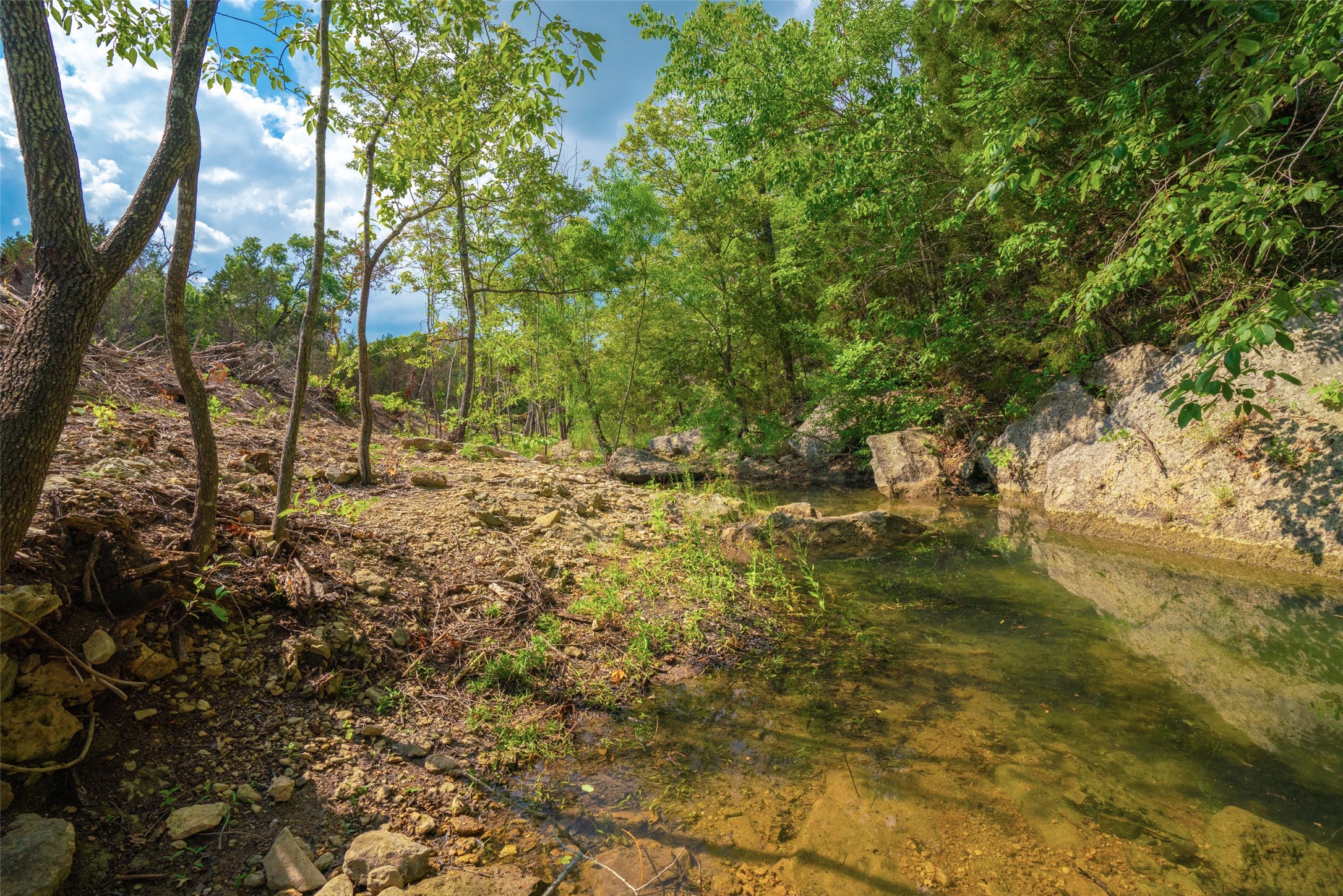 0 Spring Creek Ranch Wimberley, TX 78676 - Photo 4 of 29 a view of trees and tree in the background