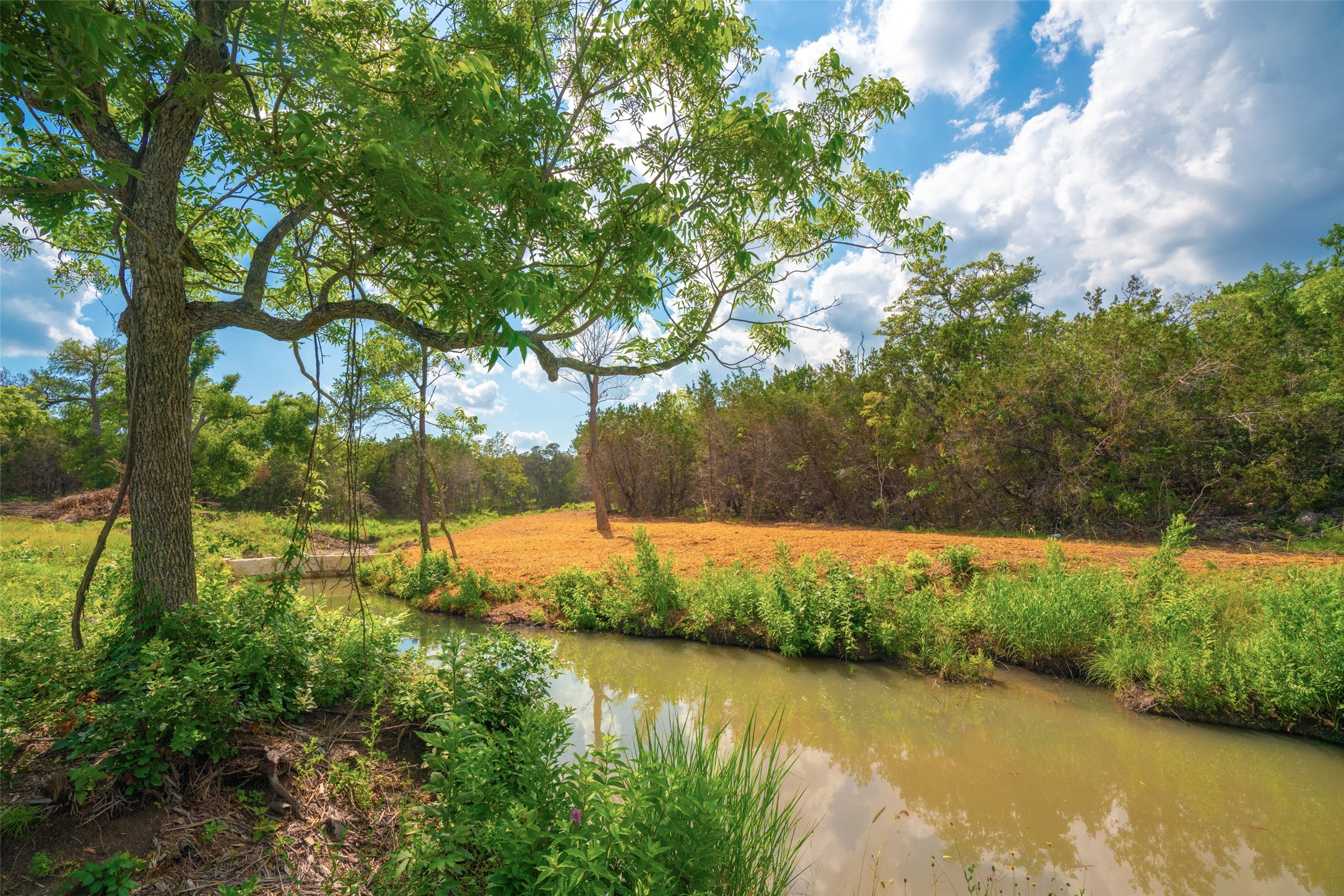 0 Spring Creek Ranch Wimberley, TX 78676 - Photo 5 of 29 a view of a lake from a yard