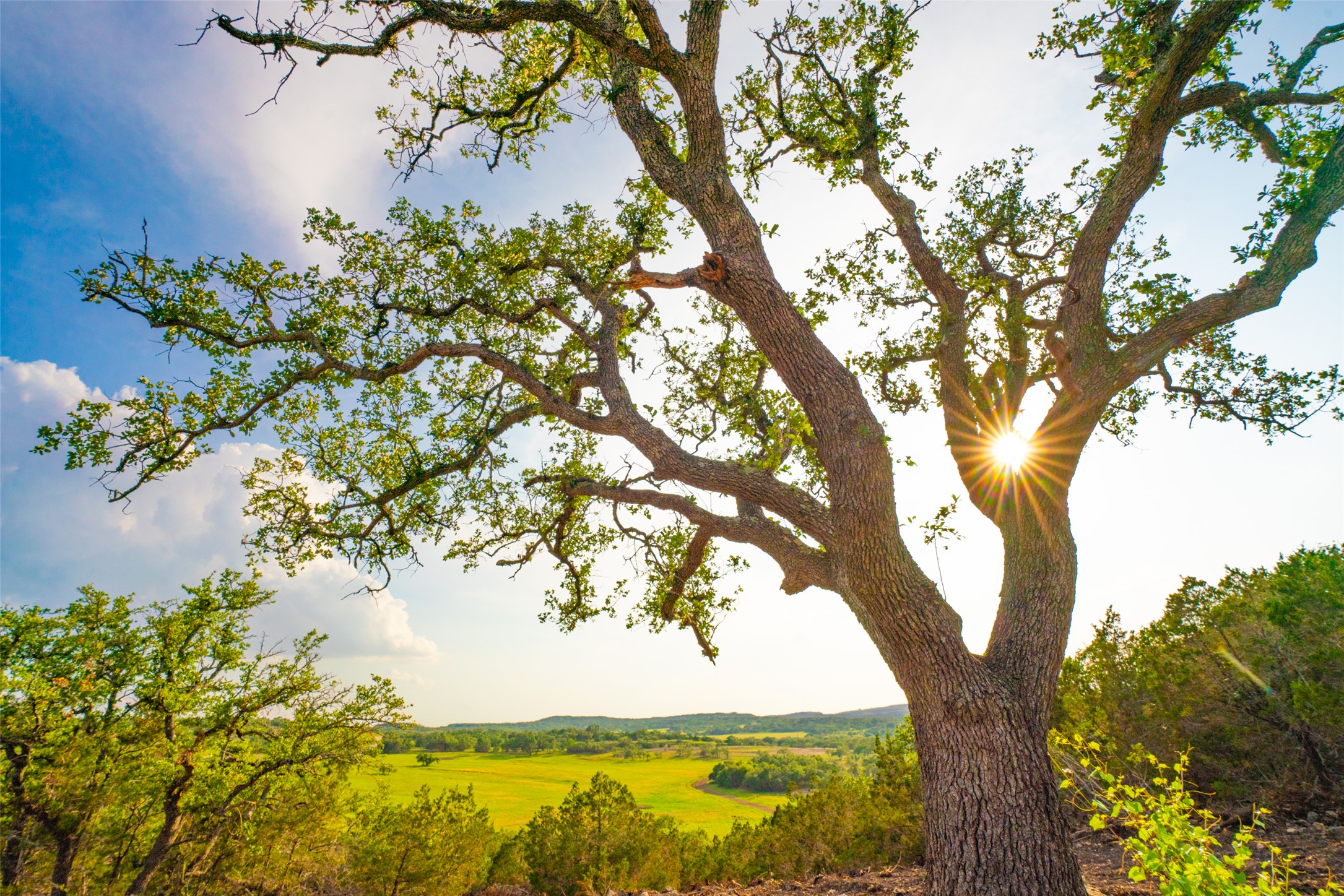 0 Spring Creek Ranch Wimberley, TX 78676 - Photo 6 of 29 a view of ocean