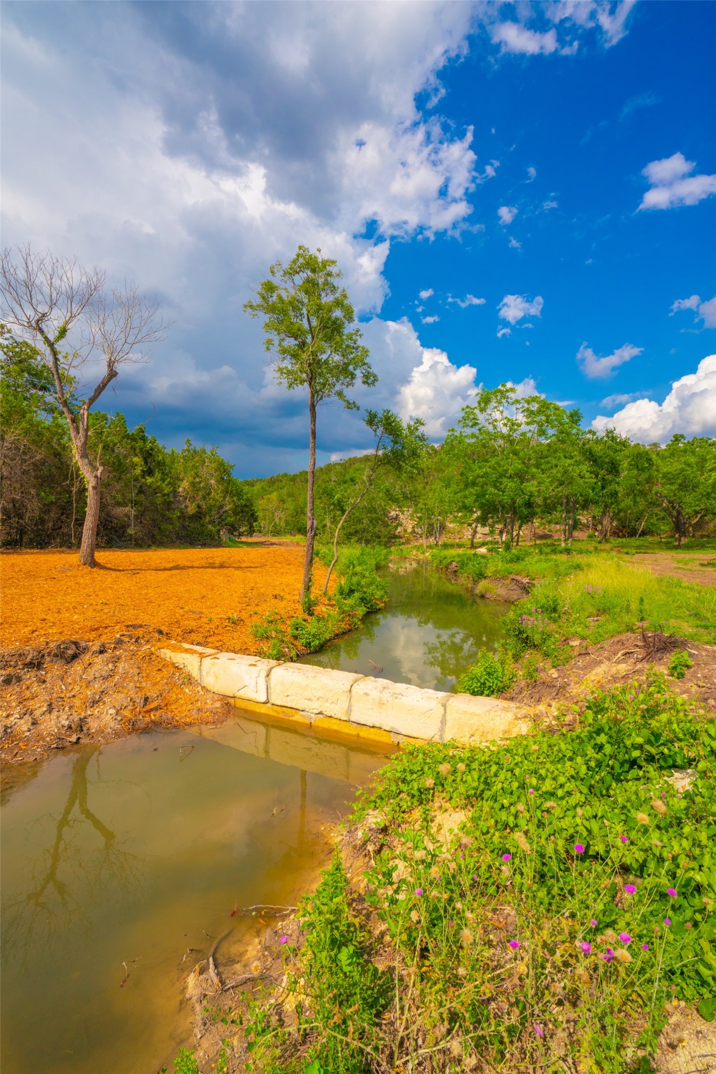 0 Spring Creek Ranch Wimberley, TX 78676 - Photo 7 of 29 a view of an ocean and beach