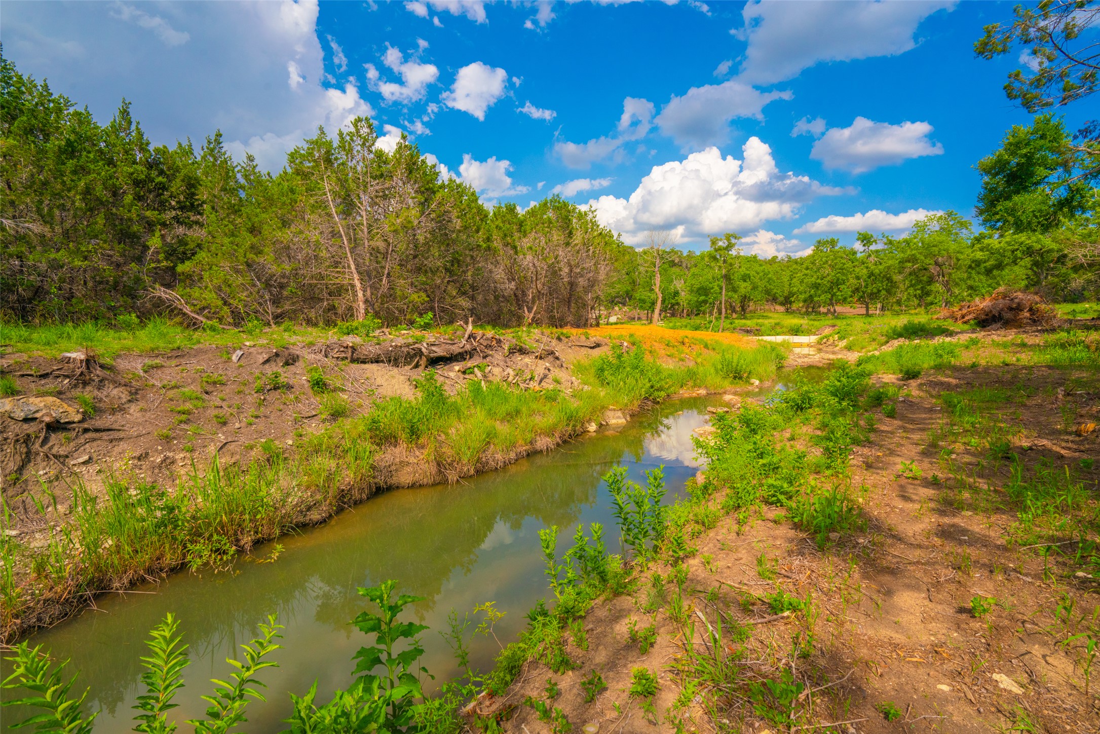 0 Spring Creek Ranch Wimberley, TX 78676 - Photo 9 of 29